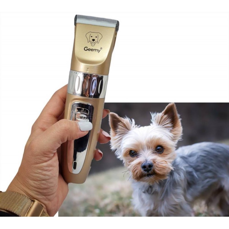Tosatrice Per Cane Gatto Animale Rasoio Elettrico Professionale Taglia  Tosatore