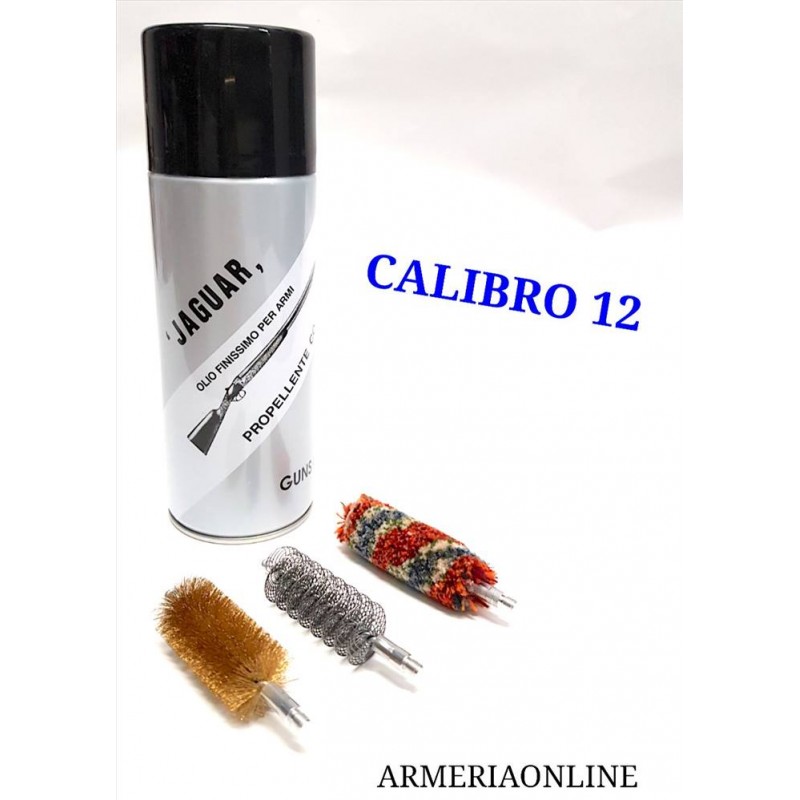 kit pulizia con olio spray scovoli...