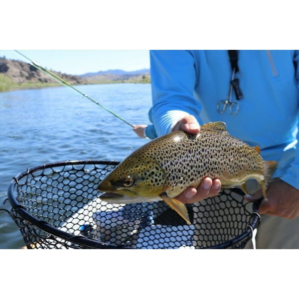 ESCHE ARTIFICIALI per acqua dolce Rapala x Rap SUPER shad rap mare pesca a traina con un rapala per Spinning Spigola Trota Artif