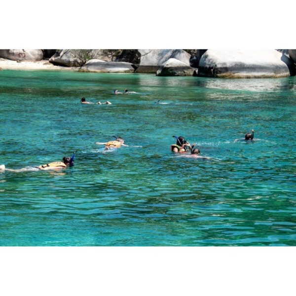 Maschera Snorkeling da apnea Sub Subaquea Seac maschera sub acquea adulti Mare subaquea snorkel - immagine 4