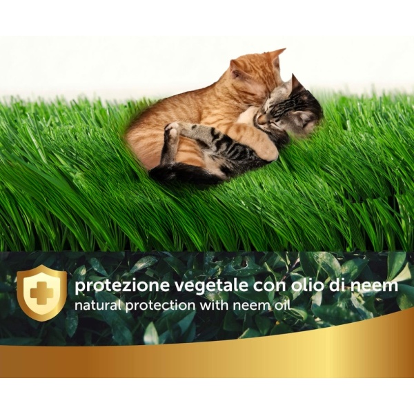 500 Ml di Olio di NEEM puro liquido BIOLOGICO Protezione animali per Cani gatto cani Gatti Antipulci Animali alla lavanda