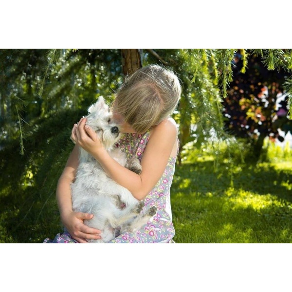 500 Ml di Olio di NEEM puro liquido BIOLOGICO Protezione animali per Cani gatto cani Gatti Antipulci Animali alla lavanda