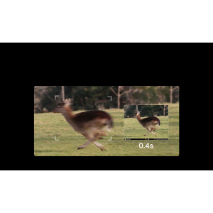 37353458